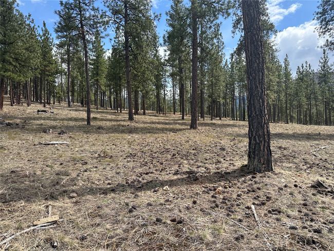 31760 Old Highway 10 W, Home with 0 bedrooms, 0 bathrooms and null parking in Alberton MT | Image 17