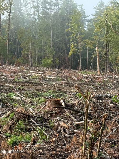 352 Dixon Hill Rd, Diamond Point, NY, 12824-2522 | Card Image