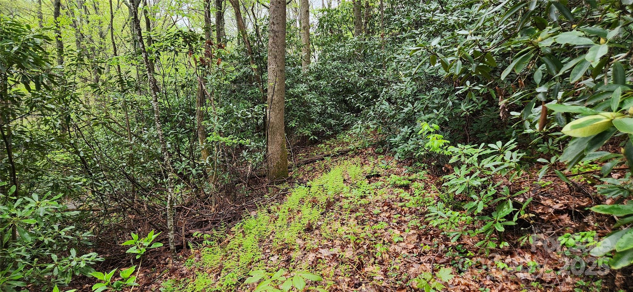 Land in Asheville 4
