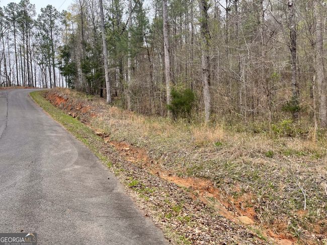 0 Green Oak Cir, Home with 0 bedrooms, 0 bathrooms and null parking in Thomaston GA | Image 31
