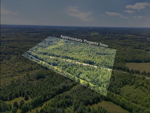 TBD Highway 73, Floodwood, MN, 55736 | Card Image
