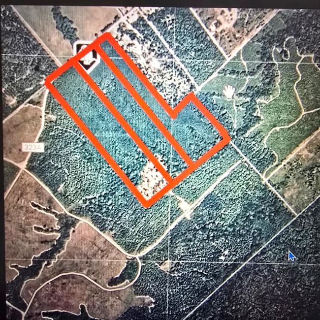 1 Lloyd Walker Rd, Home with 0 bedrooms, 0 bathrooms and null parking in Huntington TX | Image 10