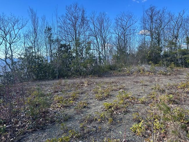 Lot 84 Black Rock Rd, Home with 0 bedrooms, 0 bathrooms and null parking in Cherokee NC | Image 7