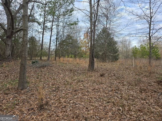 0 Willow St, Home with 0 bedrooms, 0 bathrooms and null parking in Stephens GA | Image 9