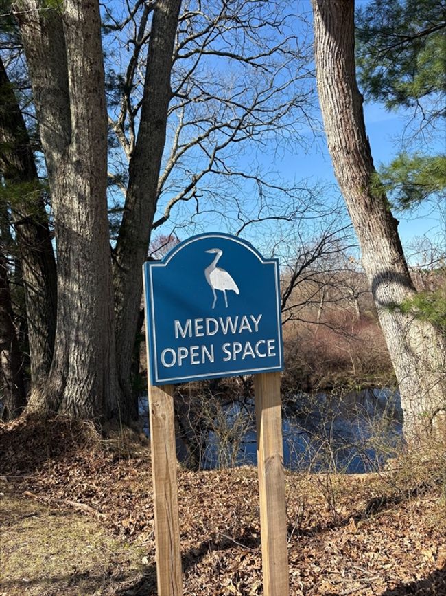 29 - 29 Willow Pond Cir, Condo with 2 bedrooms, 3 bathrooms and 2 parking in Medway MA | Image 34