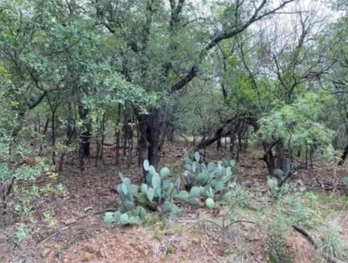0 Ne 8th Ave, Mineral Wells, TX, 76067 | Card Image
