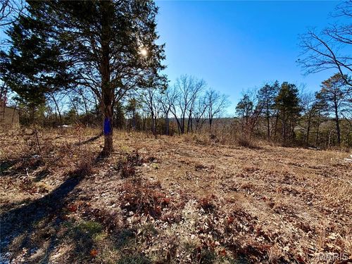 1036 Ridge Rd, De Soto, MO, 63020-3101 | Card Image