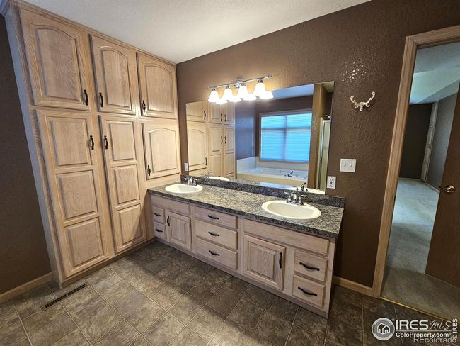 Plenty of storage in the primary beside the double vanity | Image 21