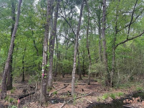 15800 Largent Dr, Plantersville, TX, 77363 | Card Image