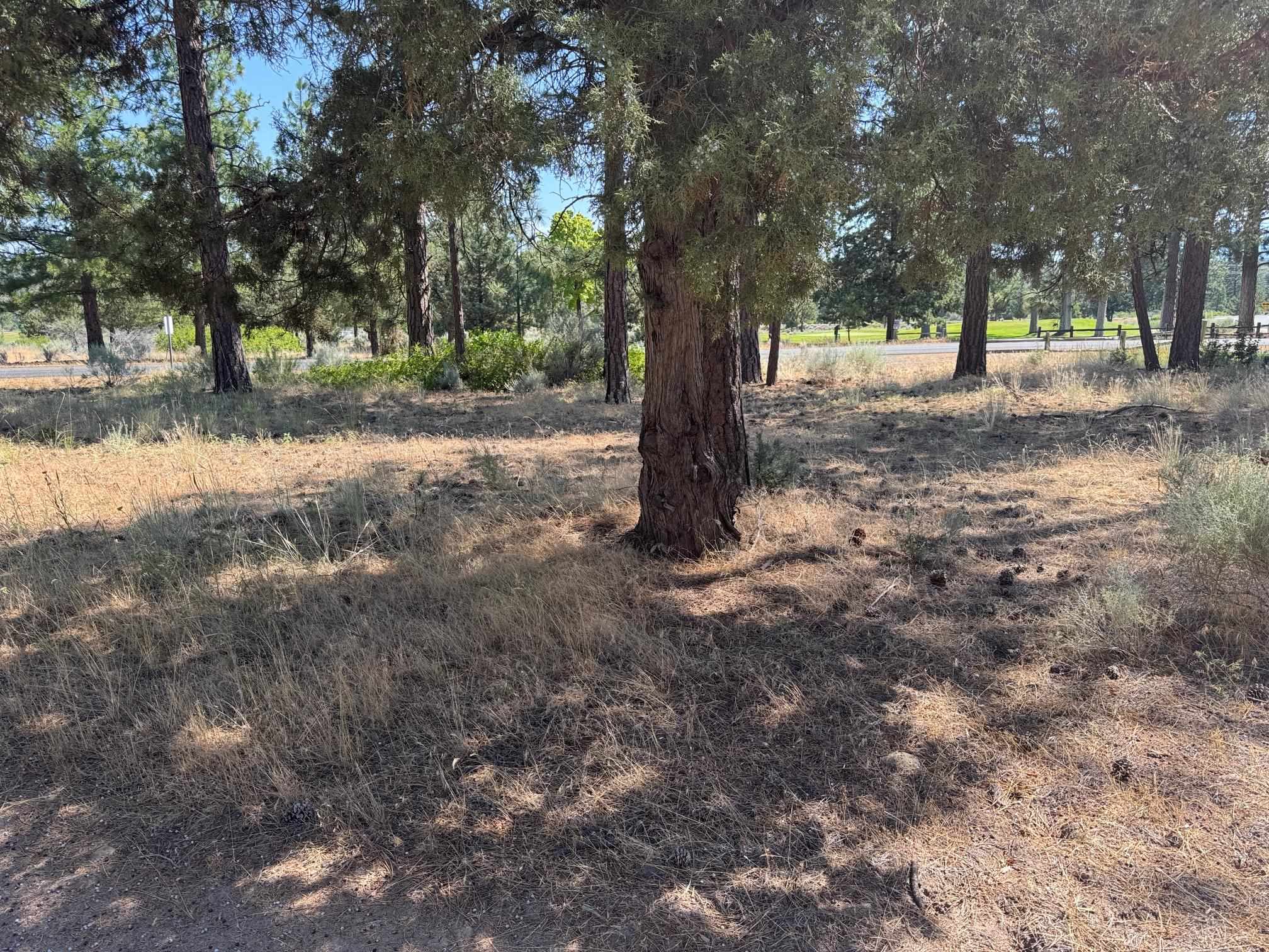 Land in Weed 3
