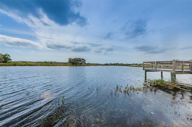 14008 Lugano Ct, House other with 3 bedrooms, 3 bathrooms and null parking in HUDSON FL | Image 89