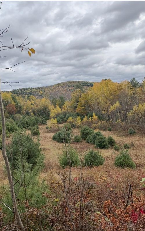 Lot 4 Catterall Rd, Lisbon, NH, 03585-7103 | Card Image