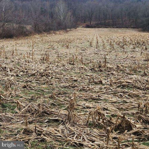 0 Warren Rd, Lot #3 Road, Milton, PA, 17847 | Card Image