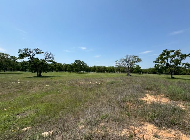 View of landscape with a rural view | Image 15
