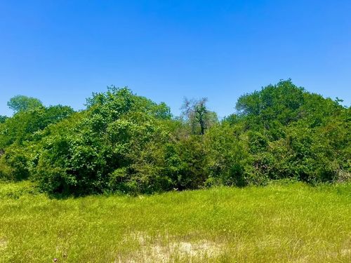 Lot 48 Antrim Ct, Poolville, TX, 76487 | Card Image