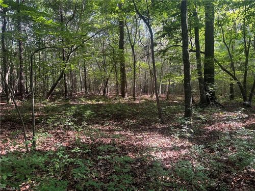 Tract 3 Dover Church Road, Seagrove, NC, 27341 | Card Image