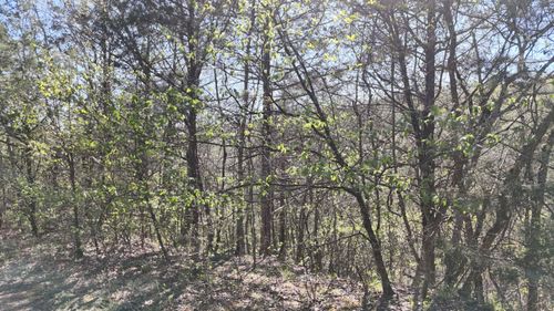 Lot #46 Gumbo Woods, Shell Knob, MO, 65747 | Card Image
