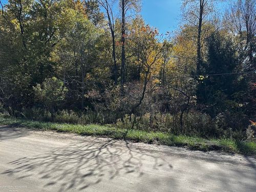 Parcel A2 Hunters Creek Road, Imlay City, MI, 48444 | Card Image