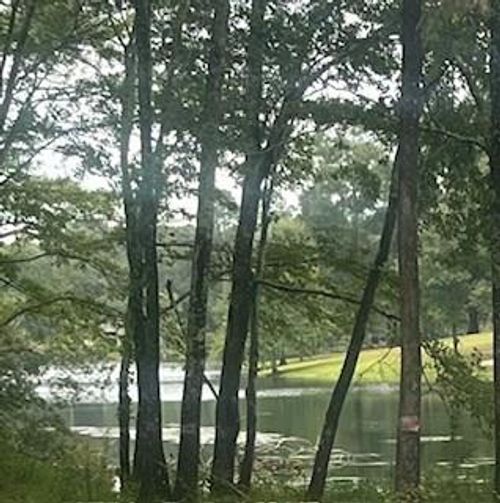 NHN Rault Dr, Lumberton, MS, 39455 | Card Image