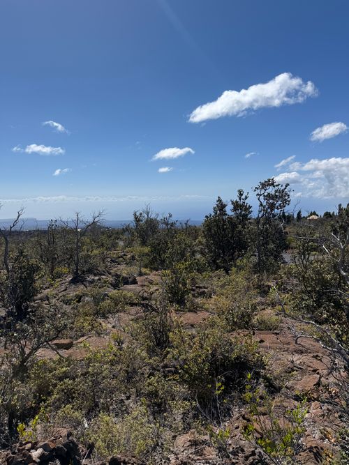 92-8520 Iwalani Circle Makai, OCEAN VIEW, HI, 96737 | Card Image