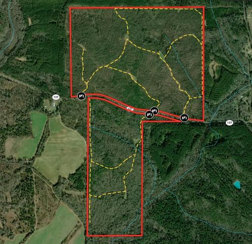 337+/- ac Preston Dr, Buena Vista, GA, 31803-4730 | Card Image