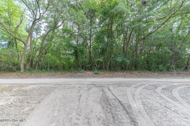 200 Padrick Ln, Home with 0 bedrooms, 0 bathrooms and null parking in Wilmington NC | Image 4