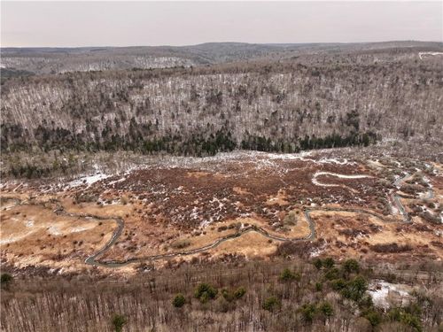 00 Halsey Valley Rd, Spencer, NY, 14883 | Card Image