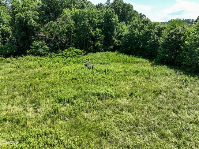 60 Lazy Brook Rd, House other with 4 bedrooms, 2 bathrooms and null parking in Chuckey TN | Image 49