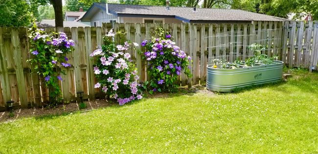 Climbing flowers enhance the wooden fence and the raised flower bed is perfect for a small salsa garden. | Image 26