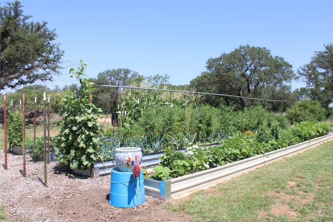 View of yard with a vegetable garden | Image 16