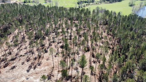 1 Highway 478, Newhebron, MS, 39140 | Card Image