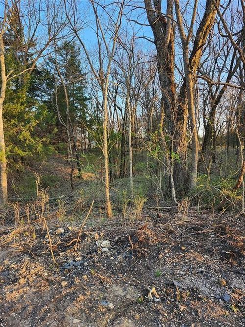 62 S Linn Valley Drive, Linn Valley, KS, 66040 | Card Image