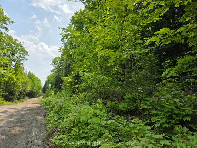 0 25 Th Line Rd, Home with 0 bedrooms, 0 bathrooms and null parking in Algonquin Highlands ON | Image 7