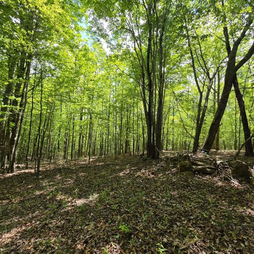 Lot 15b Cluck Cove Road, South Pittsburg, TN, 37380 | Card Image
