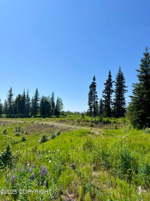 34708 N Fork Rd, Anchor Point, AK, 99556-9152 | Card Image
