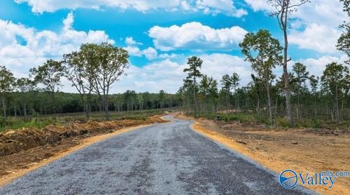Tract 22 County Road 641, Mentone, AL, 35984-2866 | Card Image