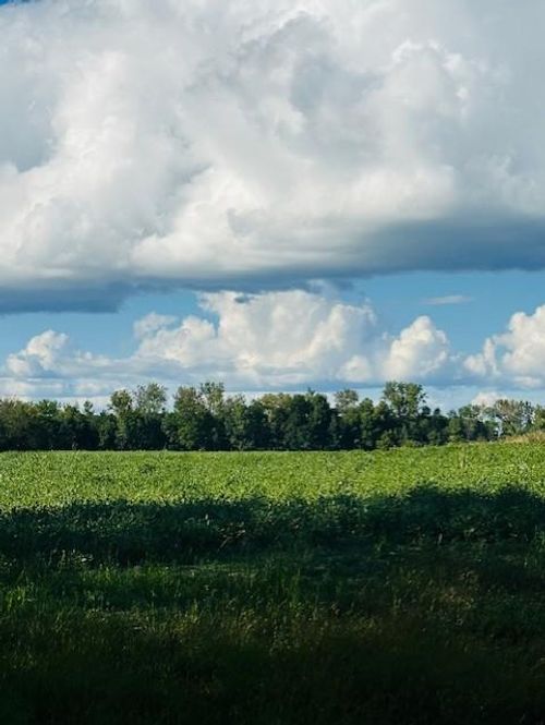 8 Rushseba Trl, Rush City, MN, 55069 | Card Image