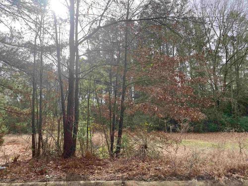 433 Lindsey St, Daingerfield, TX, 75638-2135 | Card Image