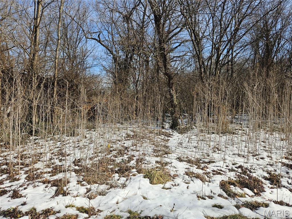 Land in East St Louis 2