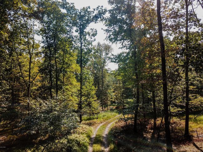 Up the Road less traveled | Image 5