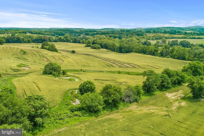 8160 Frogtown Rd, Home with 0 bedrooms, 0 bathrooms and null parking in MARSHALL VA | Image 11