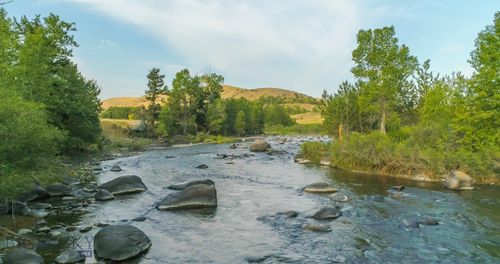 1643 Main Boulder Road, Mcleod, MT, 59052 | Card Image