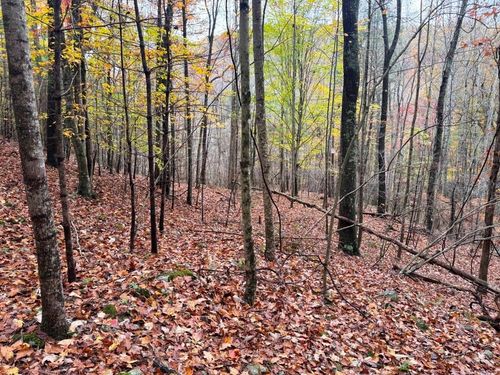 4 acre Collins Cove Rd, Ivanhoe, VA, 24350 | Card Image