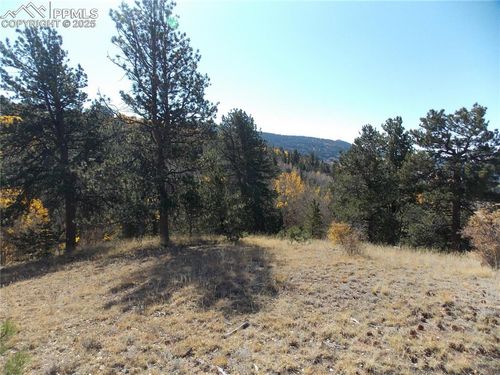 1944 May Queen Dr, Cripple Creek, CO, 80813-9610 | Card Image