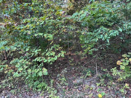 1109-parkway-lane-1108 &amp; 1110 Pavilion Lane, Horseshoe Bend, AR, 72512 | Card Image