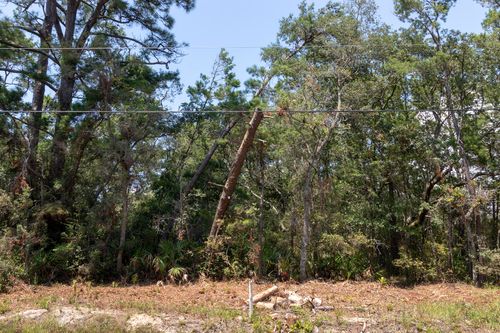 27 E Point Washington Rd, Santa Rosa Beach, FL, 32459-5656 | Card Image