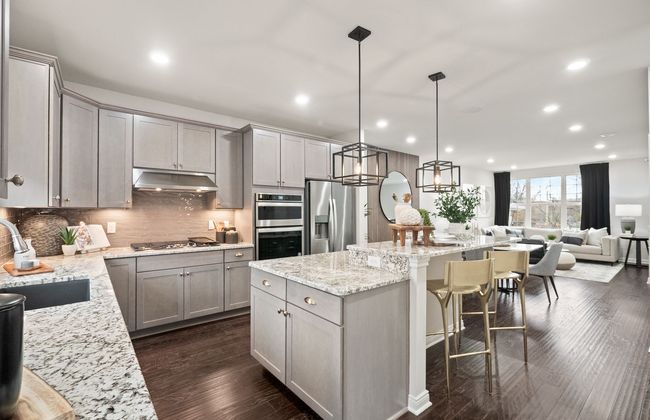 Large Gourmet Built-in Kitchen | Image 6