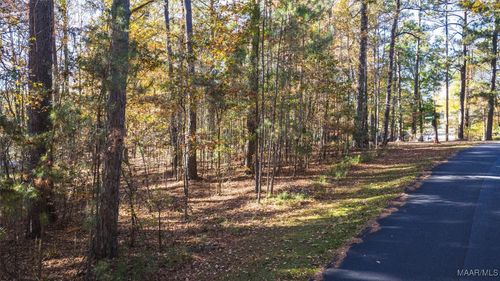 1 Willow Ln, Alexander City, AL, 35010-6316 | Card Image