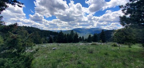 TBD Logging Creek Rd, Monarch, MT, 59463 | Card Image