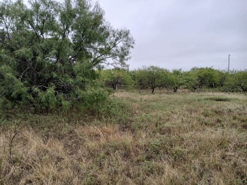 TBD County Road 419, Coleman, TX, 76834 | Card Image